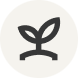 Icon of a small plant with two leaves